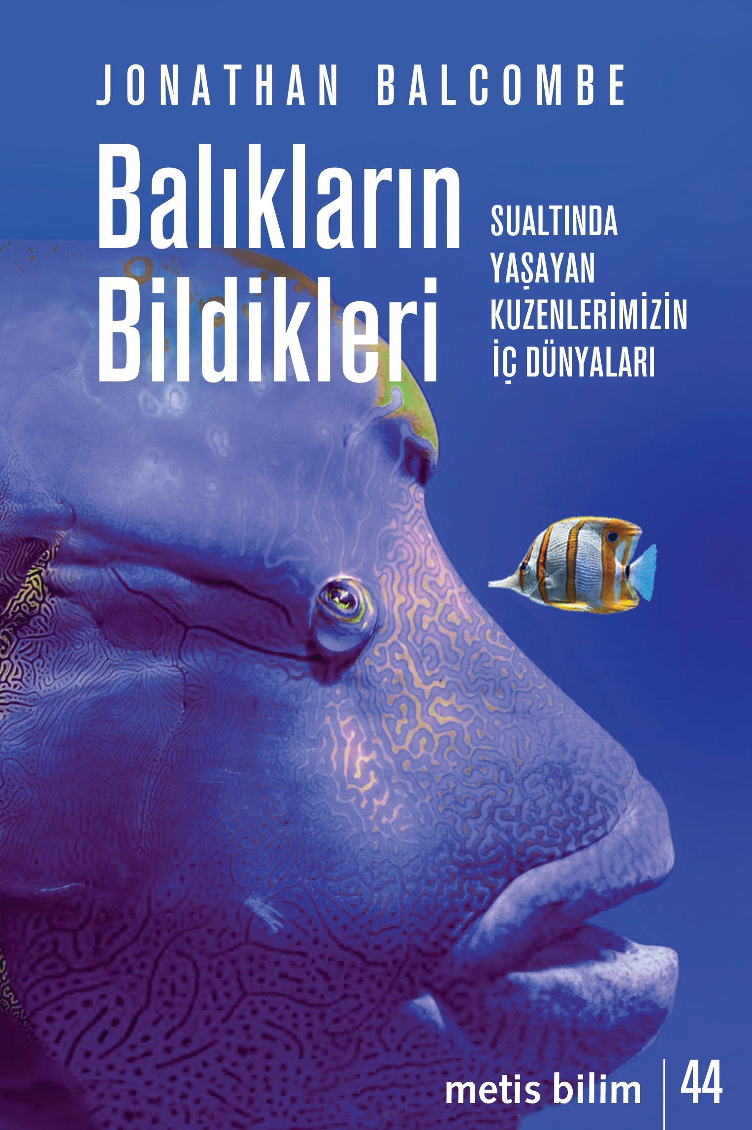 Buradan Baktığımızda