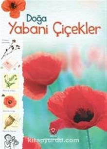 Doğa-Yabani Çiçekler - Kirsteen Rogers