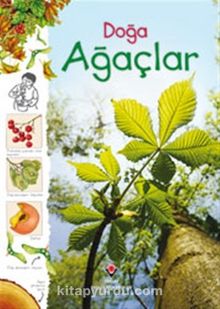 Doğa / Ağaçlar - Laura Howell