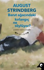 Barut Ağacındaki Kırlangıç Ne Söylüyor?