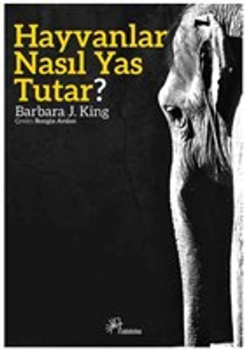 Hayvanlar Nasıl Yas Tutar?