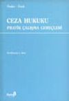 Ceza Hukuku Pratik &Ccedil;alışmaları