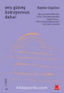 Sen Güneş Kokuyorsun Daha! - Haydar Ergülen