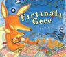 Fırtınalı Gece