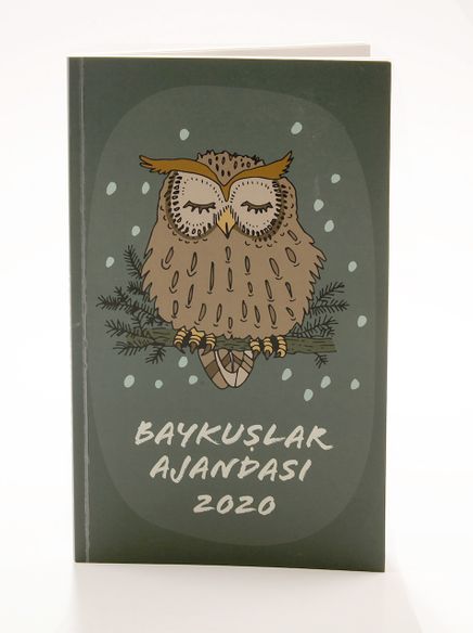 2020 Baykuş Ajandası (Büyük Boy)
