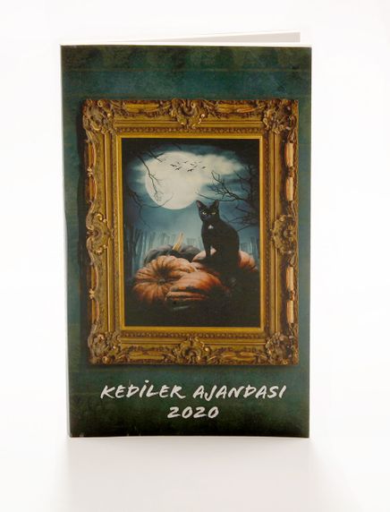 2020 Kediler Ajandası (Büyük Boy)