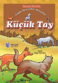 Kırmızı Kurdele Engin Amca'dan Masallar (10 Kitap)