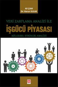 Veri Zarflama Analizi İle İşgücü Piyasası Bölgesel Etkinlik Analizi
