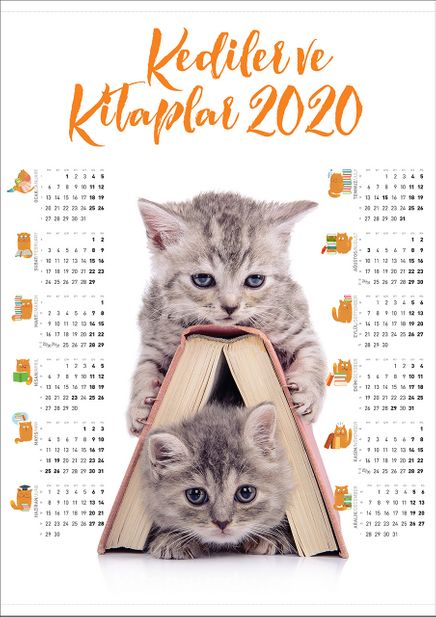 2020 Takvimli Poster - Kediler ve Kitaplar - Kitap Ev