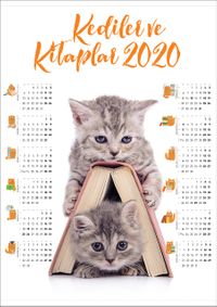 2020 Takvimli Poster - Kediler ve Kitaplar - Kitap Ev