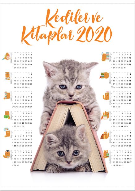 2020 Takvimli Poster - Kediler ve Kitaplar - Kitap Ev