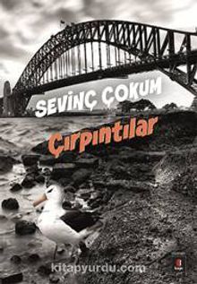 Çırpıntılar - Sevinç Çokum