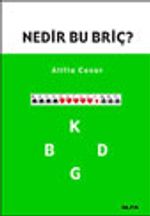 Nedir Bu Briç?