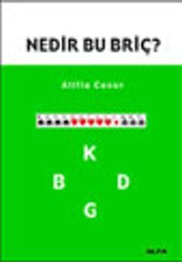 Nedir Bu Briç?