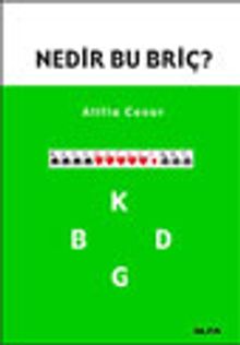 Nedir Bu Briç?