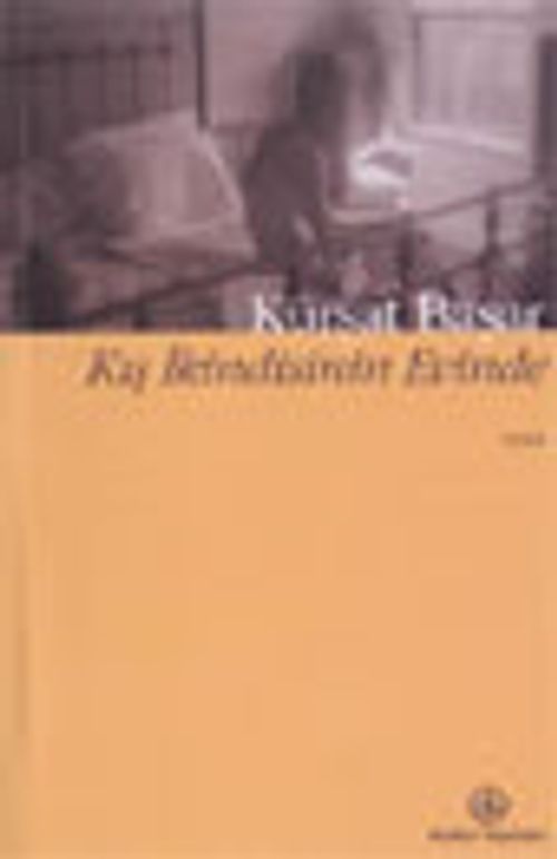 Kış İkindisinin Evinde