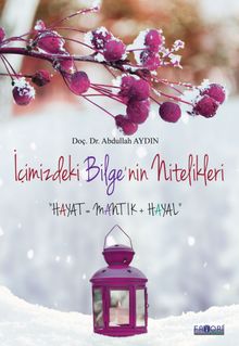 İçimizdeki Bilge'nin Nitelikleri