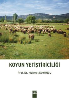 Koyun Yetiştiriciliği - Mehmet Koyuncu
