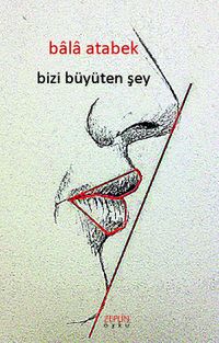 Bizi Büyüten Şey