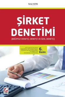 Şirket Denetimi & Bağımsız Denetçi, Denetçi ve Özel Denetçi