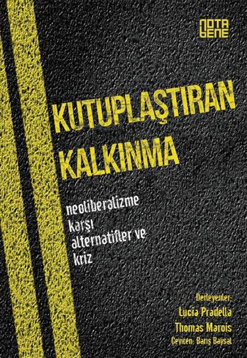 Kutuplaştıran Kalkınma & Neoliberalizme Karşı Alternatifler ve Kriz