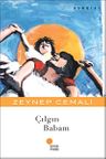 Çılgın Babam