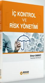 İç Kontrol ve Risk Yönetimi