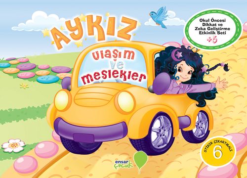 Aykız - Ulaşım ve Meslekler