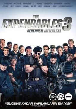 The Expendables 3 (Dvd)