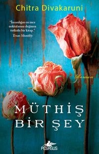 Müthiş Bir Şey
