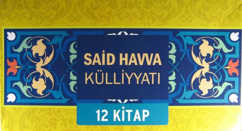 Said Havva Külliyatı (12 Kitap)