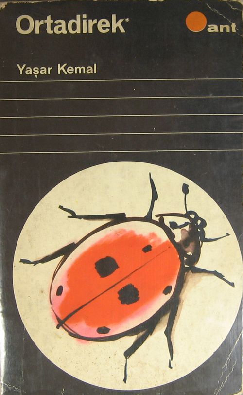 Ortadirek (2-A-24)