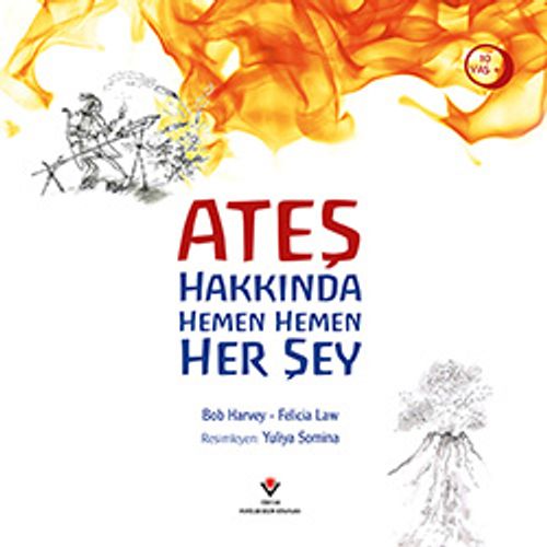 Ateş Hakkında Hemen Hemen Her Şey