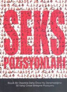 Seks Pozisyonları