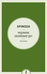 Yaşamak Dediğimiz Şey