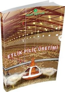 Etlik Piliç Üretimi