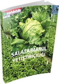 Salata-Marul Yetiştiriciliği