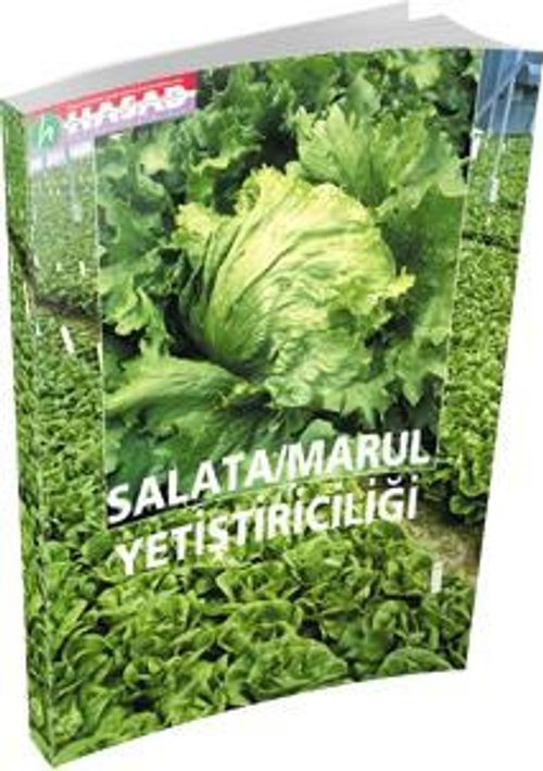 Salata-Marul Yetiştiriciliği