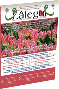 Lalegül Aylık İlim Kültür ve Fikir Dergisi Sayı:27 Mayıs 2015