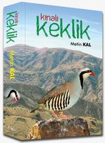 Kınalı Keklik