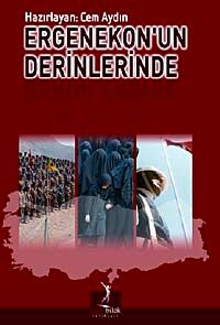 Ergenekon'un Derinliklerinde