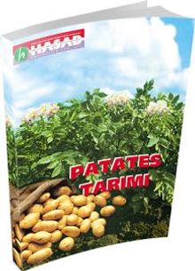 Patates Tarımı