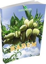 Badem