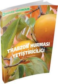 Trabzon Hurması Yetiştiriciliği