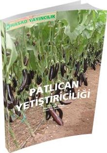 Patlıcan Yetiştiriciliği
