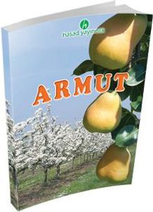 Armut