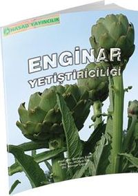 Enginar Yetiştiriciliği