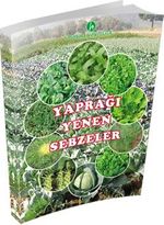 Yaprağı Yenen Sebzeler