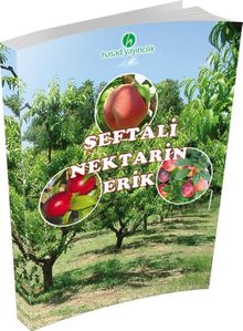 Şeftali Nektarin Erik