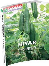 Hıyar Yetiştiriciliği